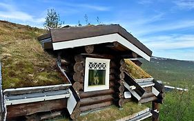 Unique Arctic Timber Cabin
